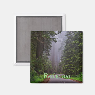 Imã Árvores de Sequoias Vermelhas Gigantes, Winding Ro