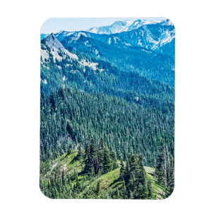 Ímã Árvores e seringas