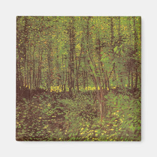 Imã Árvores e Sub-bosque por Vincent van Gogh