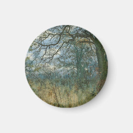 Imã Árvores e Sub-crescimento - William Fraser Garden