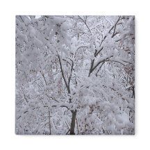 Árvores em Carga de Neve