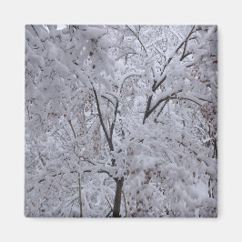 Imã Árvores em Carga de Neve