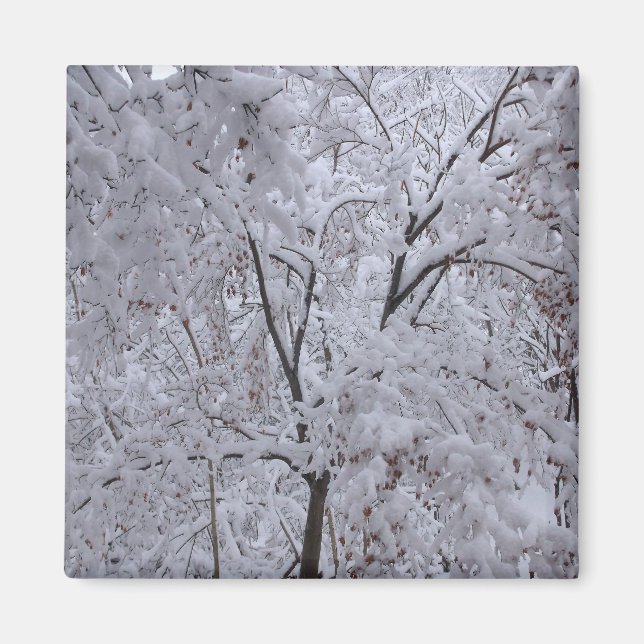 Imã Árvores em Carga de Neve (Frente)