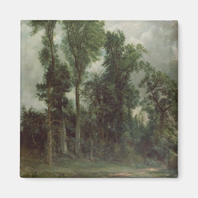 Imã Árvores em Hampstead (Frente)