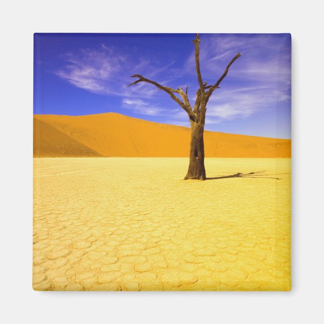 Imã Árvores esqueleto em Dead Vlei Sossusvlei, (Frente)