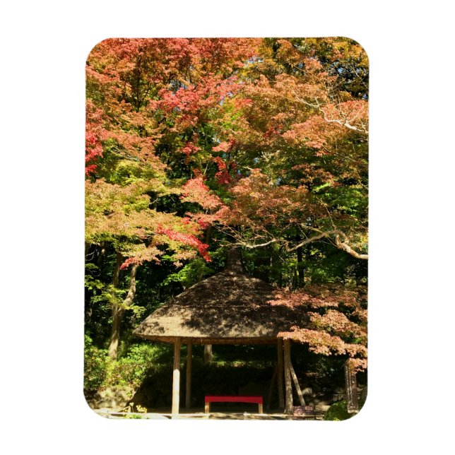 Ímã Árvores Mapeadas Coloridas e Restauração da Casa (Vertical)