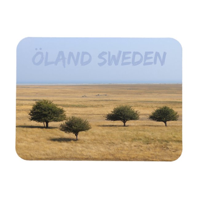 Ímã Árvores na savana, Öland, Suecia (Horizontal)