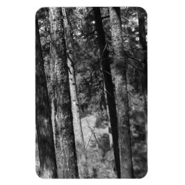 Ímã árvores negras e brancas ao redor