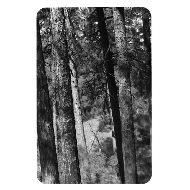 Ímã árvores negras e brancas ao redor (Vertical)