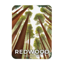 Ímã Árvores Redwood | Parque Nacional Aquarela Viagem