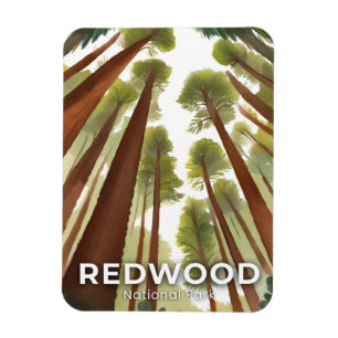 Ímã Árvores Redwood Parque Nacional Aquarela Viagem