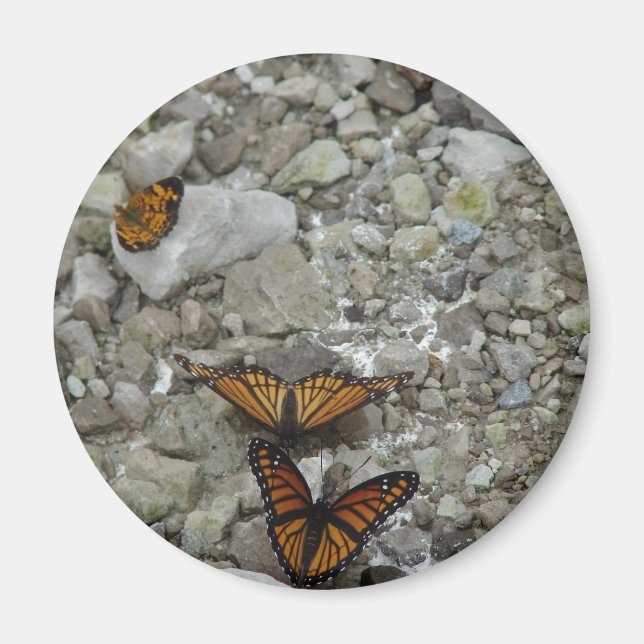 Imã As 3 Borboletas (Frente)