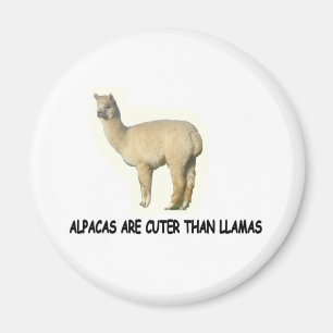 Imã As alpacas são mais bonitos do que lamas