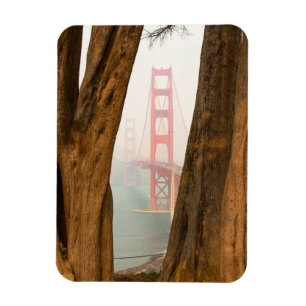 Ímã As árvores de golden gate bridge   de negligencia