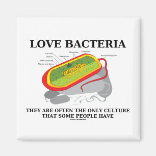 Imã As bactérias do amor cultivam somente algumas