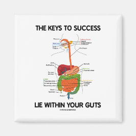 Imã As Chaves Para O Sucesso Deitam-Se Dentro Da Sua T