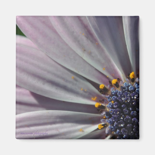 Imã As Flores Dentro (Frente)