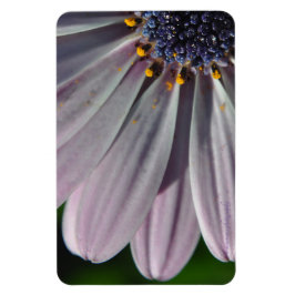 Ímã As Flores Dentro