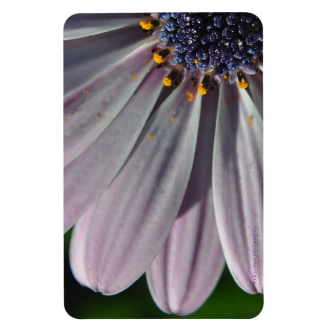 Ímã As Flores Dentro (Vertical)