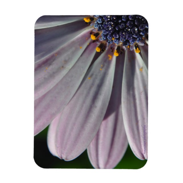 Ímã As Flores Dentro (Vertical)