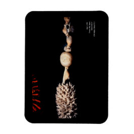 Ímã As Formas do Mar na Arte de Parede Preto-Carboniza