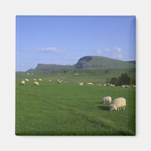 Imã As Montanhas Quiraing, Ilha de Skye, Terras Altas,