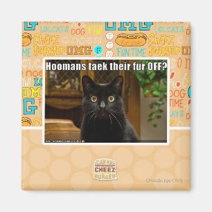 Imã As mulheres pegam pelo lá fora?