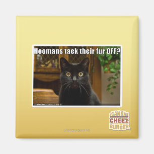 Imã As mulheres pegam pelo lá fora?