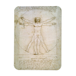 Ímã As proporções da figura humana