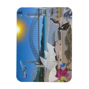 Ímã As REFLEXÕES da onça Brisbane encontram Sydney