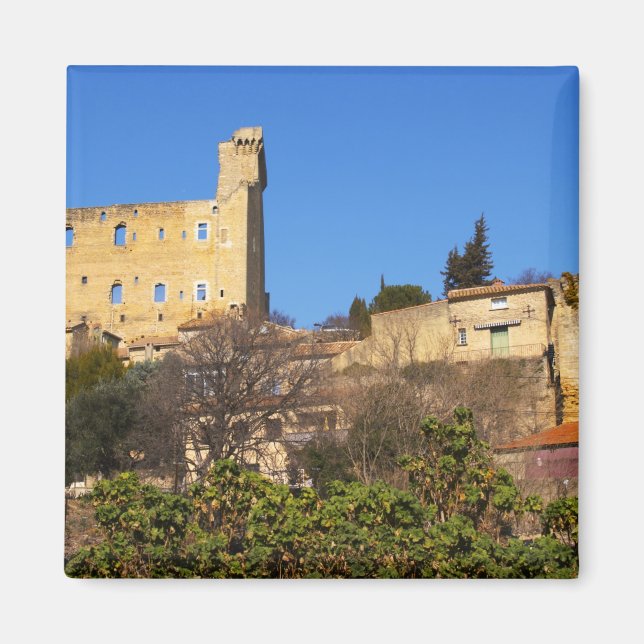 Imã As ruínas do castelo de verão do Papa em (Frente)