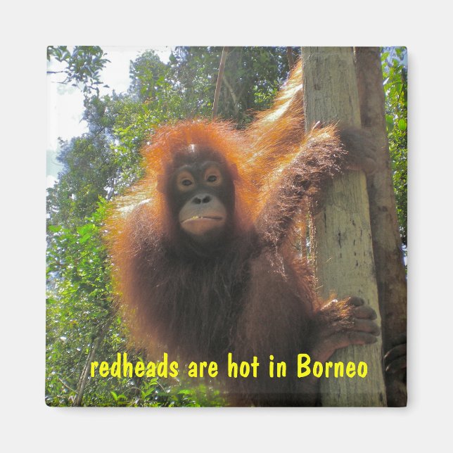 Imã As ruivas são um humor quente (Frente)