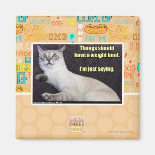 Imã As tangas devem ter um limite do peso