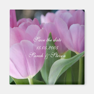 Imã As tulipas cor-de-rosa bonitas salvar o ímã da