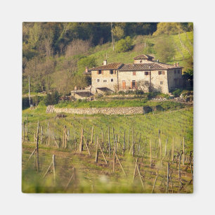 Imã Aschuito, uma fazenda em funcionamento que aceita