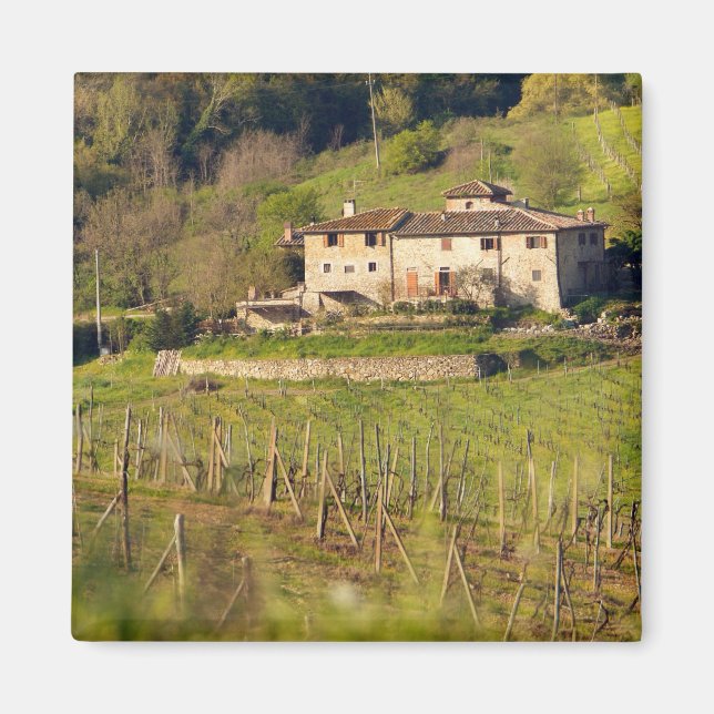 Imã Aschuito, uma fazenda em funcionamento que aceita  (Frente)