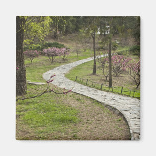 Imã Ásia, China, Pequim. Flores de primavera ao longo