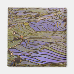 Imã Ásia, China, Província de Yunnan, Yuanyang. Inunda