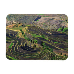 Ímã Ásia, China, Yunnan, Honghe. Arrozais perto