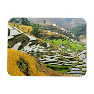 Ímã Ásia, China, Yunnan, Prefeitura de Yuxi; Yuanjiang