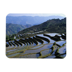 Ímã Ásia, China, Yunnan, Yuanyang. Dissipado