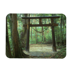 Ímã Ásia, Japão, Kagoshima, Yakushima, Montanha
