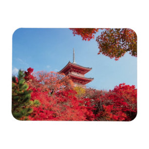 Ímã Ásia, Japão, Quioto. Cor de Outono