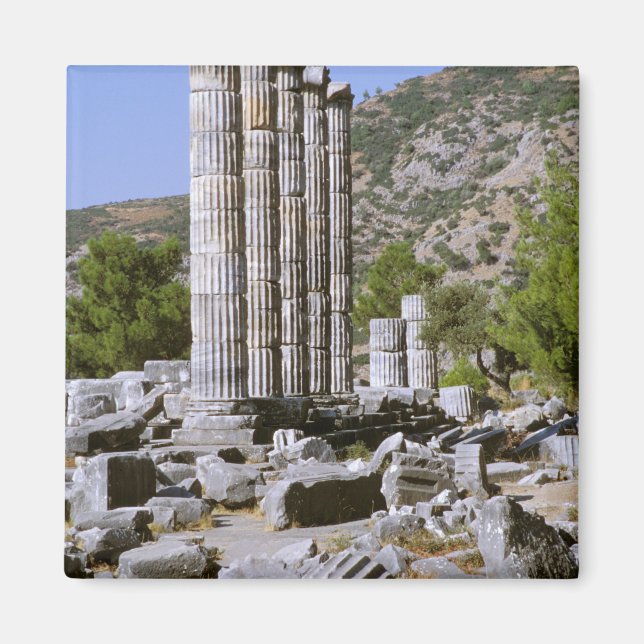 Imã Ásia, Médio Oriente, Turquia, Ephesus. Templo de (Frente)