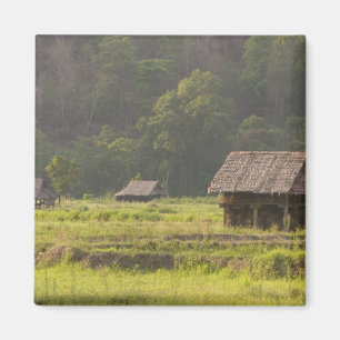 Imã Ásia, Tailândia, Mae Hong Son, Cabanas de arroz no