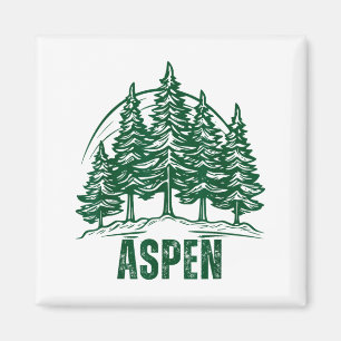 Imã Aspen colorado montanhas esqui pinheiro ao ar livr