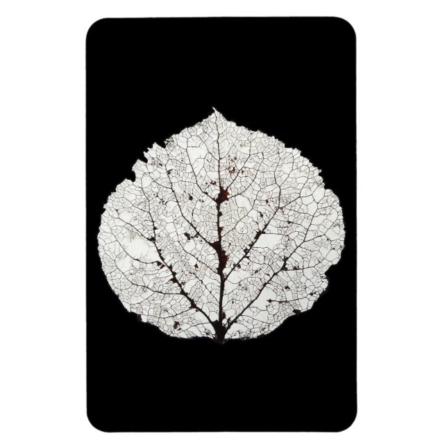 Ímã Aspen Esqueleto 1 (Vertical)