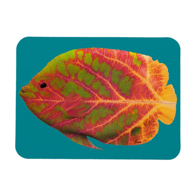 Ímã Aspen Peixe Tropical 1 (Horizontal)
