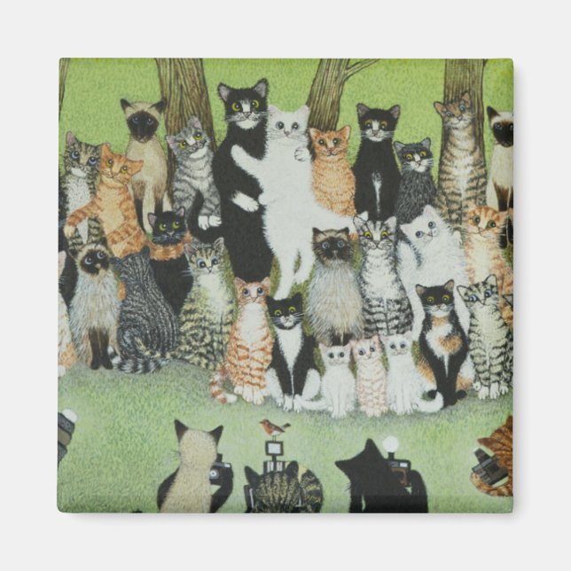 Imã Assista o Birdie (Frente)