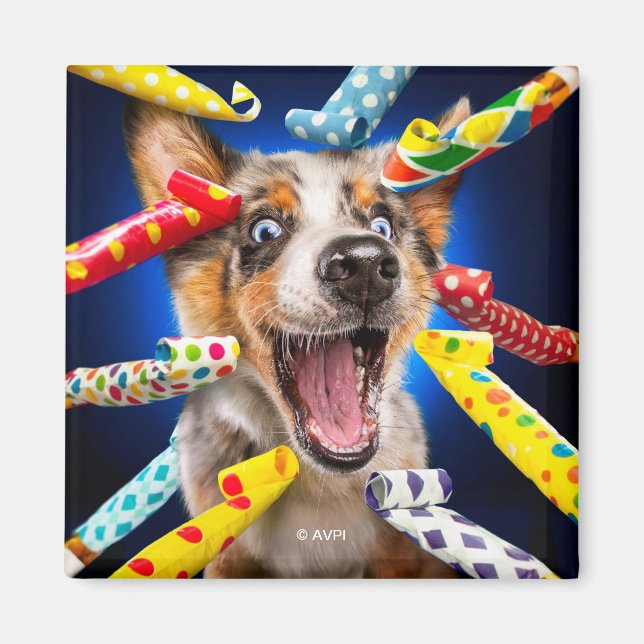 Imã Assopradores de Festa de Cachorro Feliz (Frente)